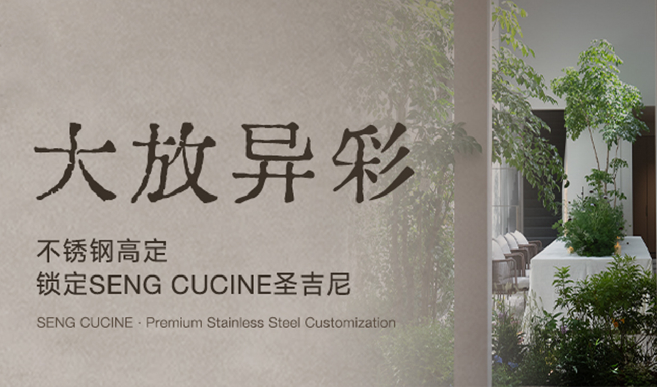 大放异彩<br>不锈钢高定锁定SENG CUCINE圣吉尼